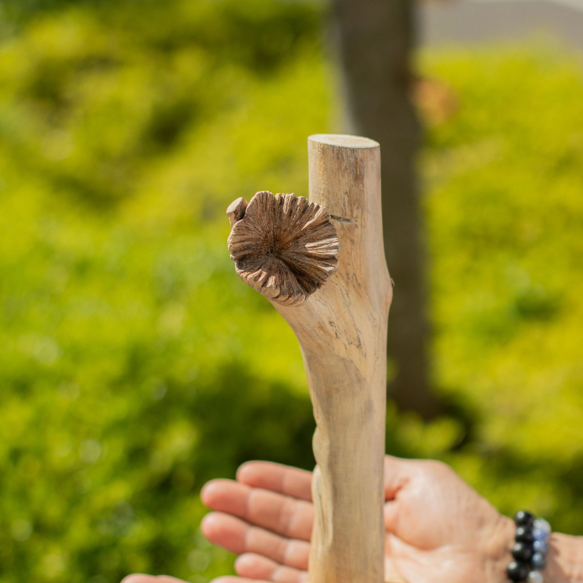 Handgefertigte Parasiten Holz Kunstschnitzerei - Greenman
