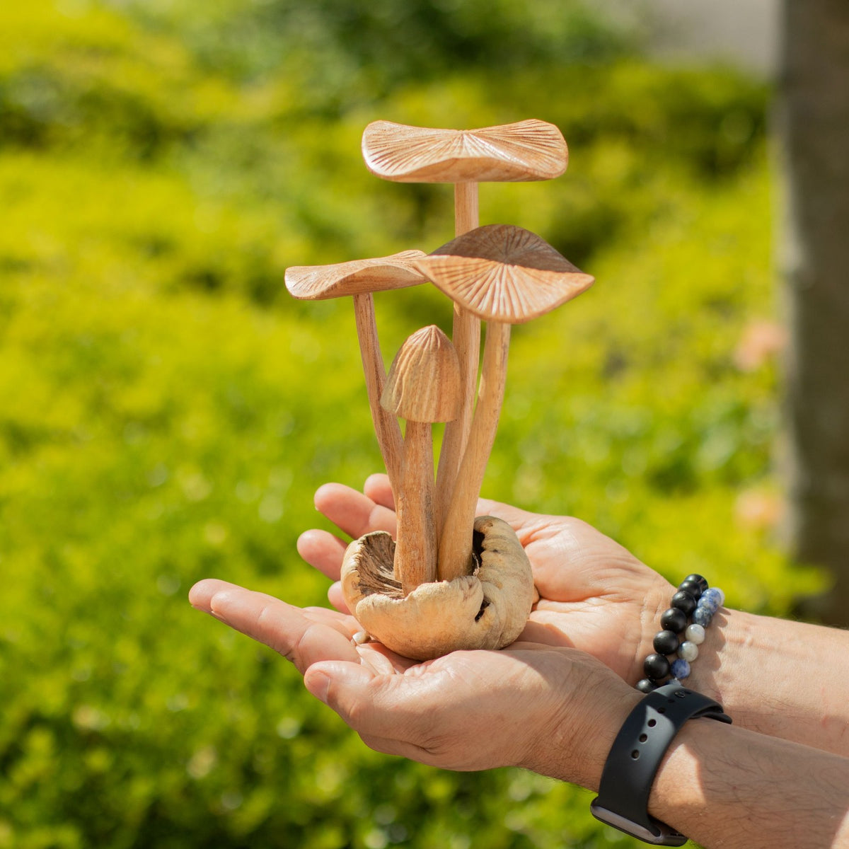 Handgefertigte Parasiten Holz Kunst Schnitzerei - 4er Set große Pilze