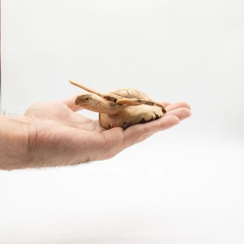 Handgefertigte Parasiten Holz Kunstschnitzerei - steigende Meeresschildkröte